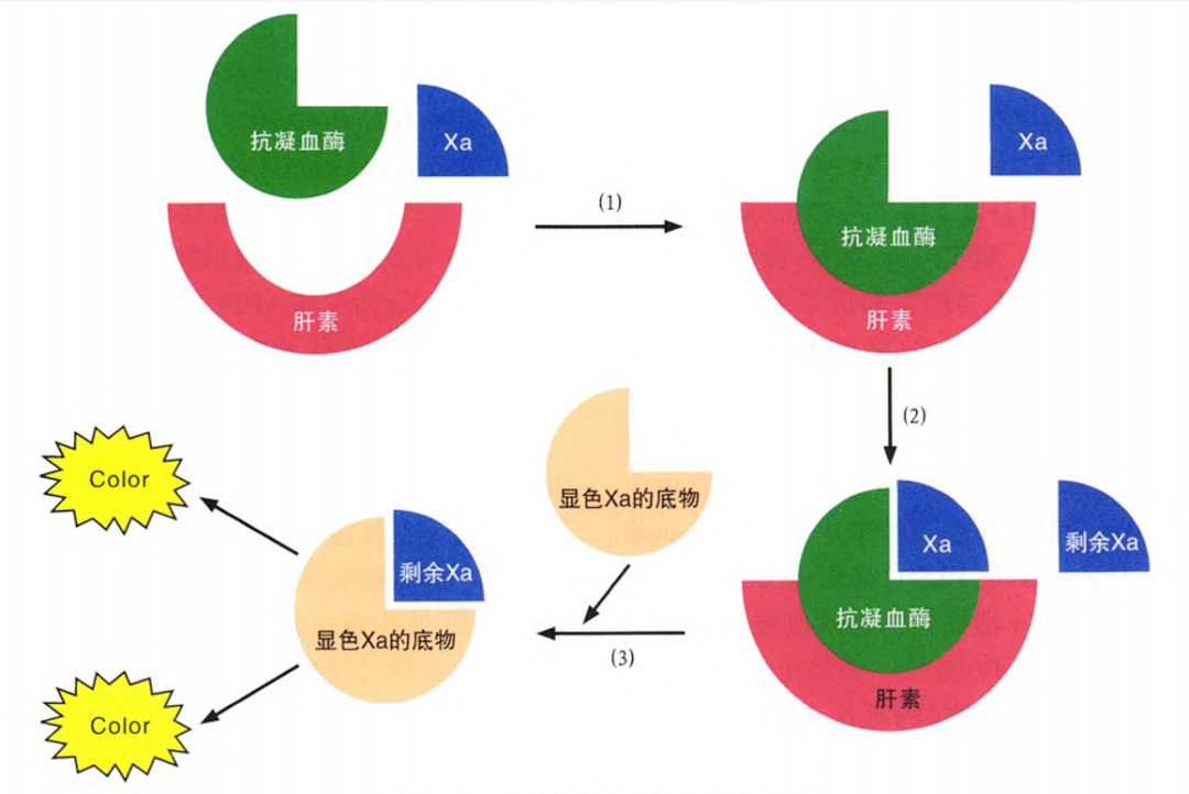 國產(chǎn)抗Xa質(zhì)量如何？多中心臨床研究來告訴你！